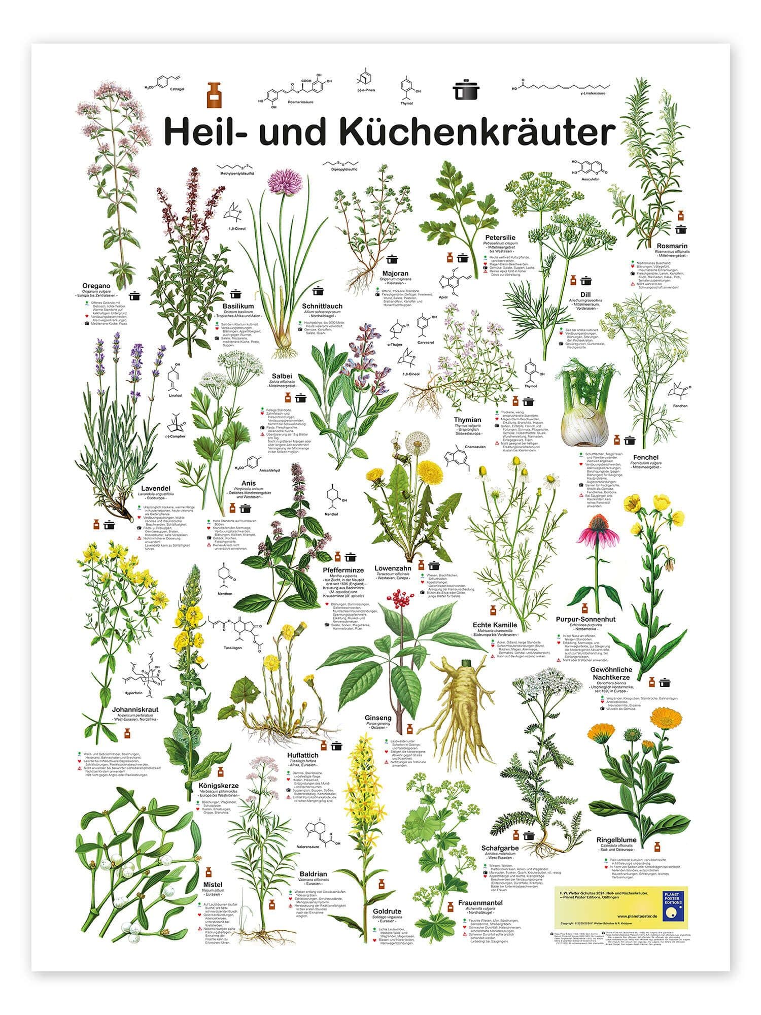 Posterlounge Wandbild Heil- und Küchenkräuter Poster Bunt - Bild 2