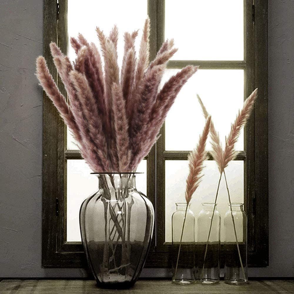 NaDeco Trockenblume Pampasgras Fluffy Natur 35g 75-80cm