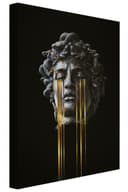 Bilderdepot24 Leinwandbild Akustikbild Abstrakt Modern Medusa Bild 2