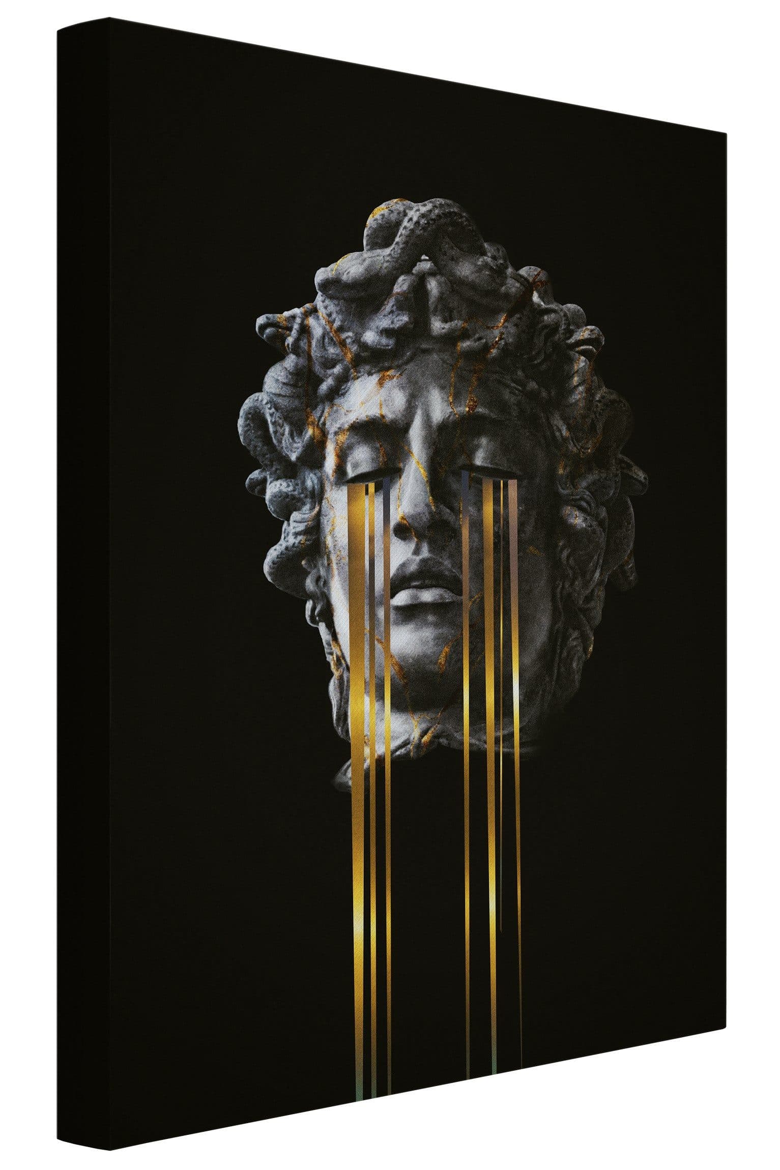 Bilderdepot24 Leinwandbild Akustikbild Abstrakt Modern Medusa - Bild 2