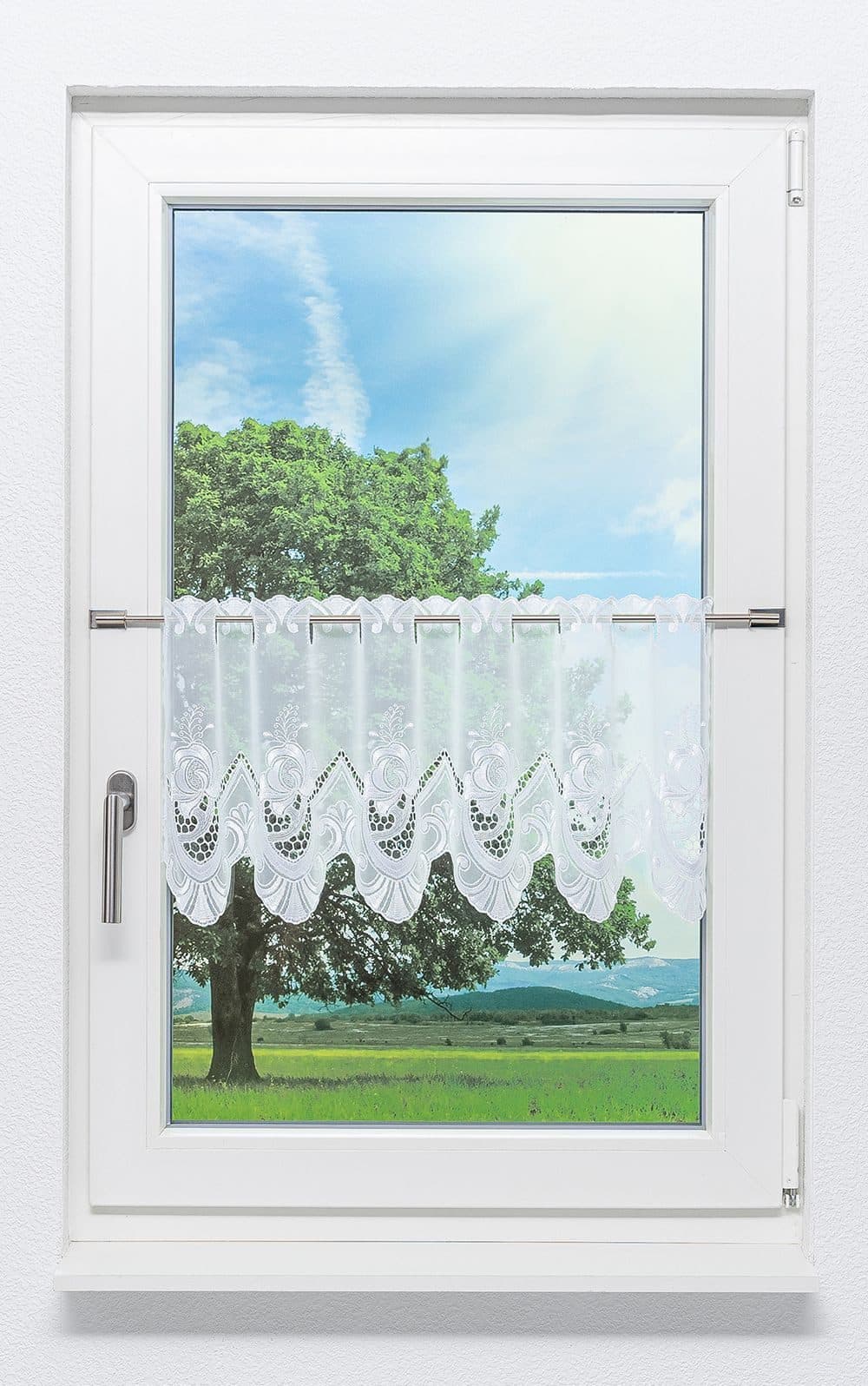 Plauener Spitze® Scheibengardine Röschen Transparent Weiß - Bild 2