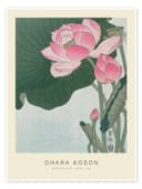 Posterlounge Wandbild Blooming Lotus, 1926, Ohara Koson Bild 2