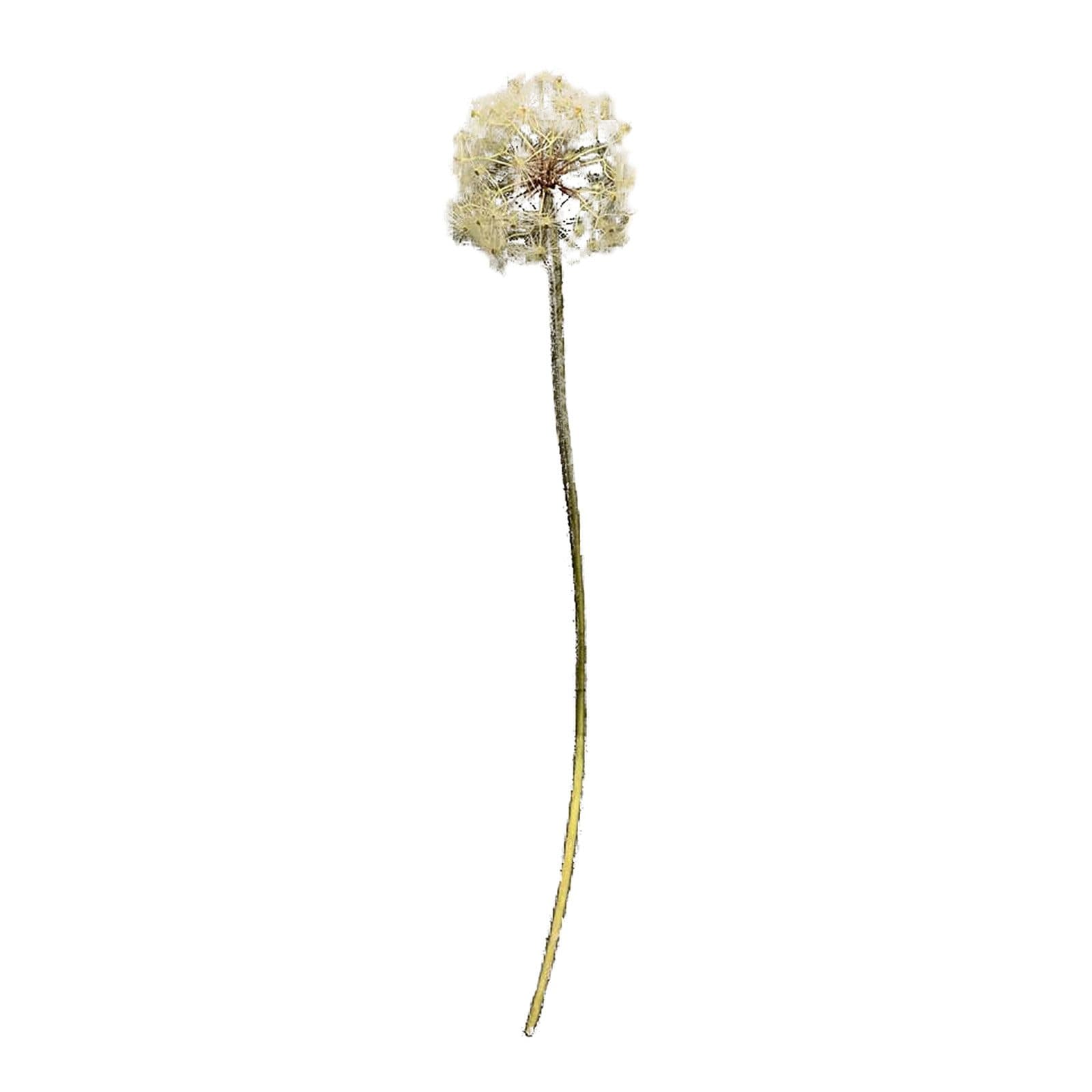 HTI-Living Kunstblume Pusteblume Flora Beige 91 cm