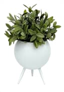 DanDiBo Blumenhocker Metall Weiß Bild 2