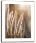 Kunstdruck Pampas Beige Reinders Bild 2