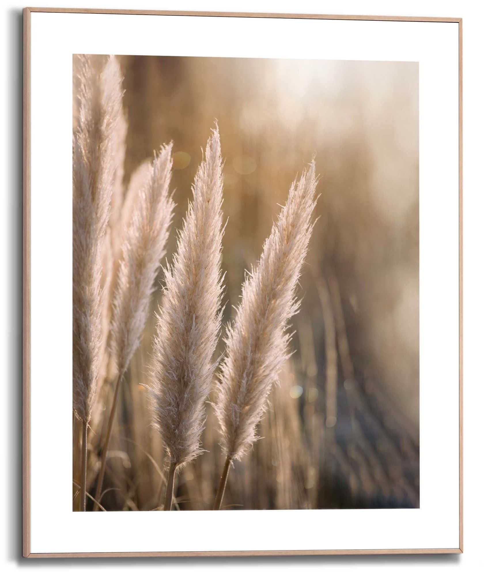Kunstdruck Pampas Beige Reinders - Bild 2
