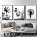 Martin Kench Poster 3er Set Schwarz-Weißer Schmetterling Blume Löwenzahn Modernes Bild 2