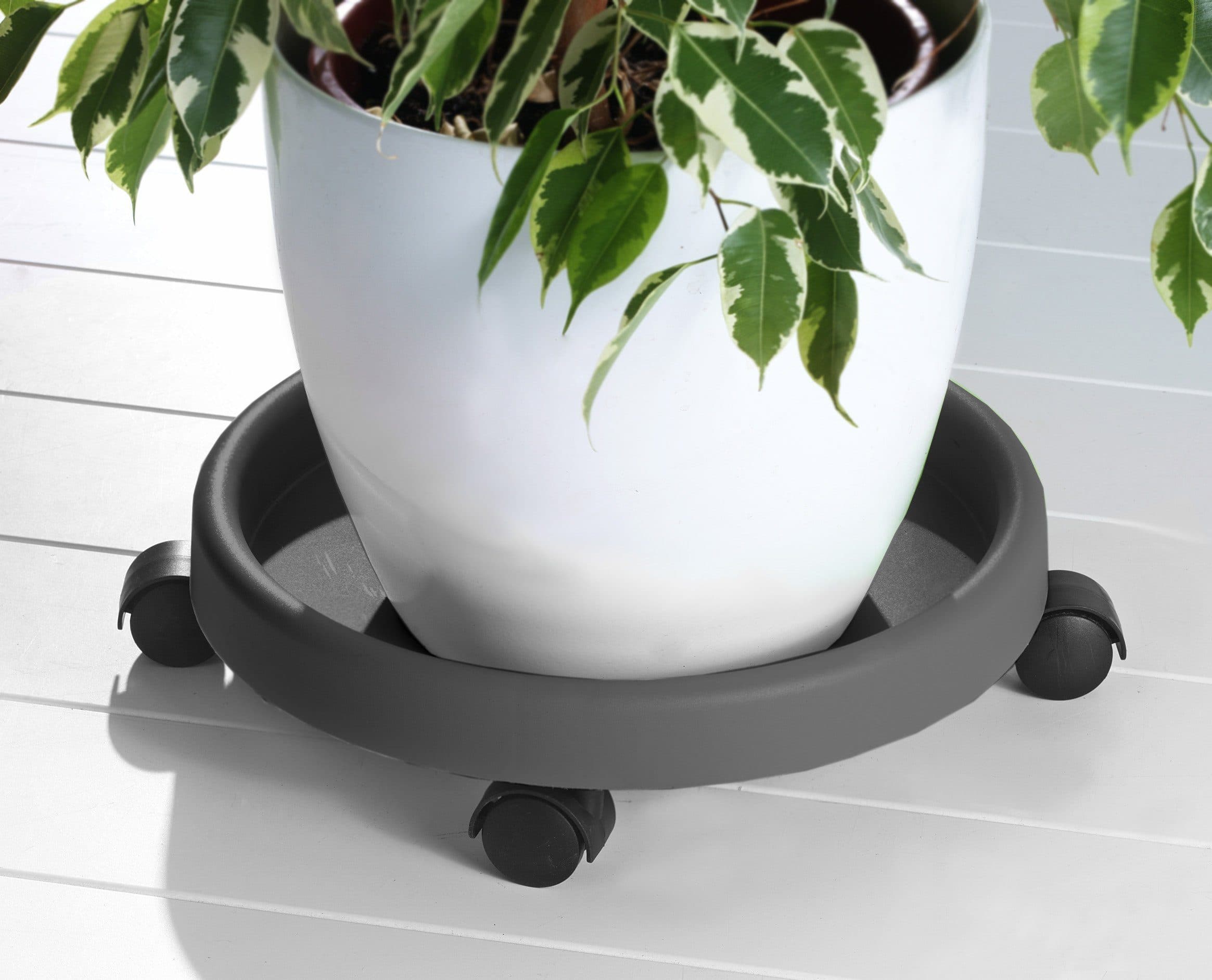 RUCO Blumentopfuntersetzer Grau 2er Set mit Rollen