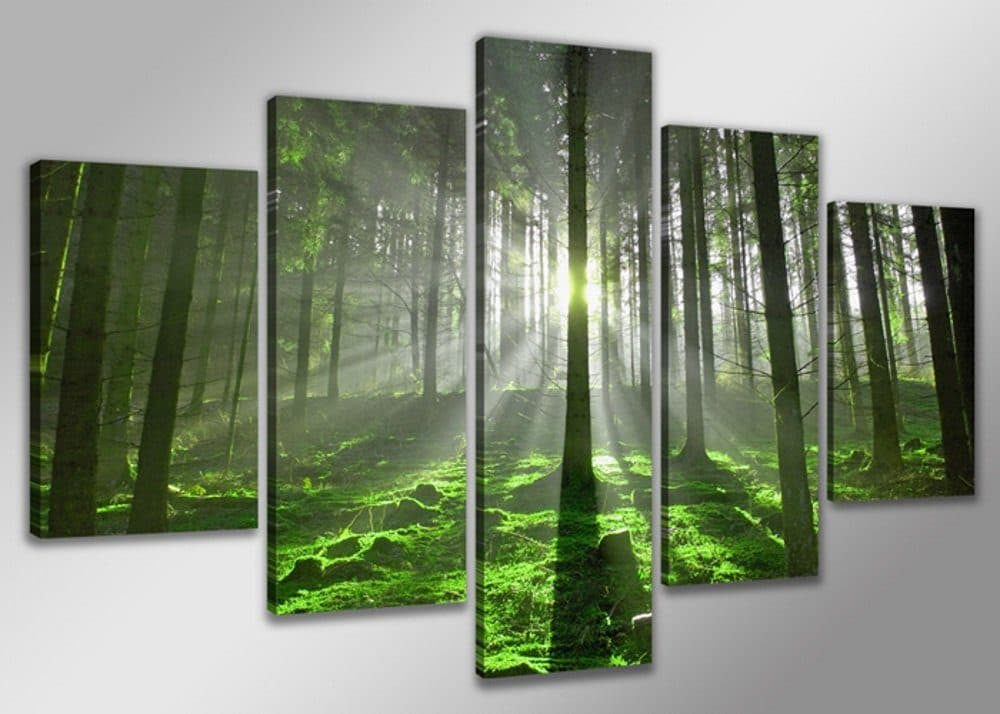 Visario Leinwandbild 5er Set Gerahmt Wald
