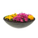 matches21 HOME & HOBBY Pflanzschale Rund Schwarz 25 cm Wetterfest Bild 2