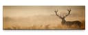 möbel-direkt.de Leinwandbild Hirsch XXL Wandbild auf Leinwand Bild 2