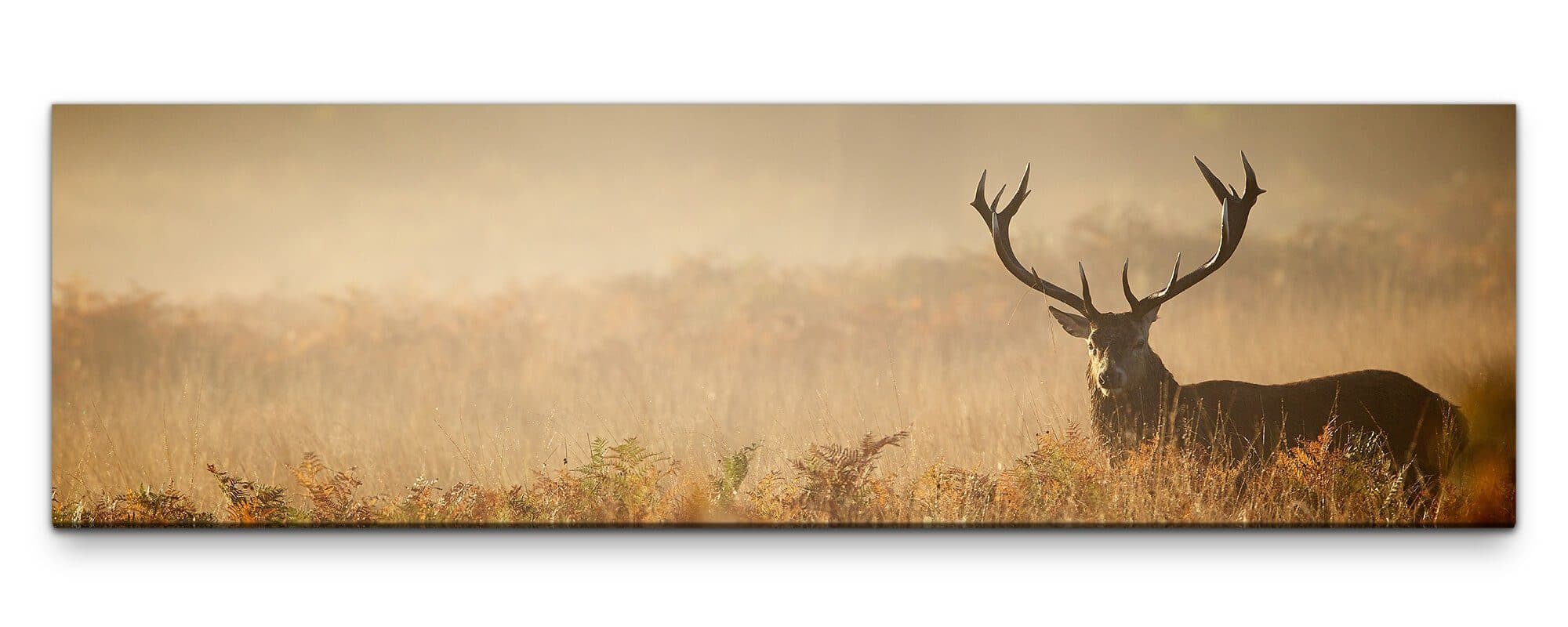 möbel-direkt.de Leinwandbild Hirsch XXL Wandbild auf Leinwand - Bild 2