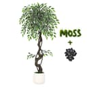 Künstlicher Ficusbaum GarveeMore Bild 2
