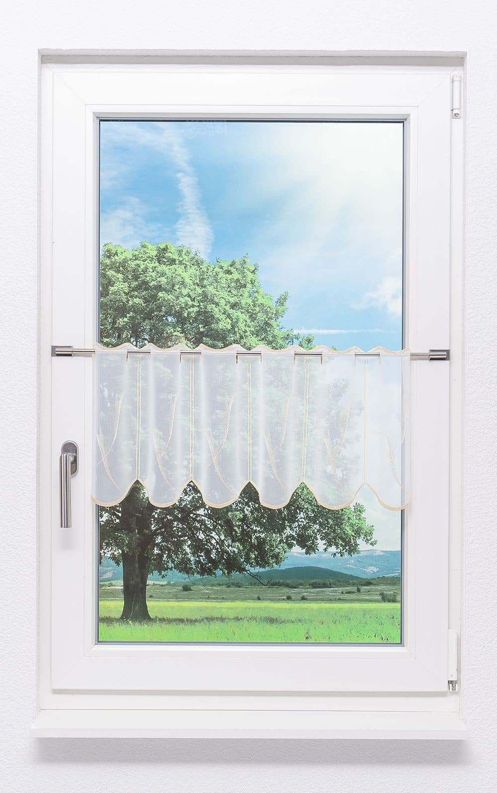 Plauener Spitze Scheibengardine Federn Transparent Weiß - Bild 2