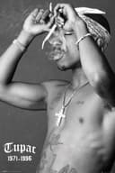 GB eye Poster Tupac Shakur Smoke 61 x 91,5 cm Bild 2