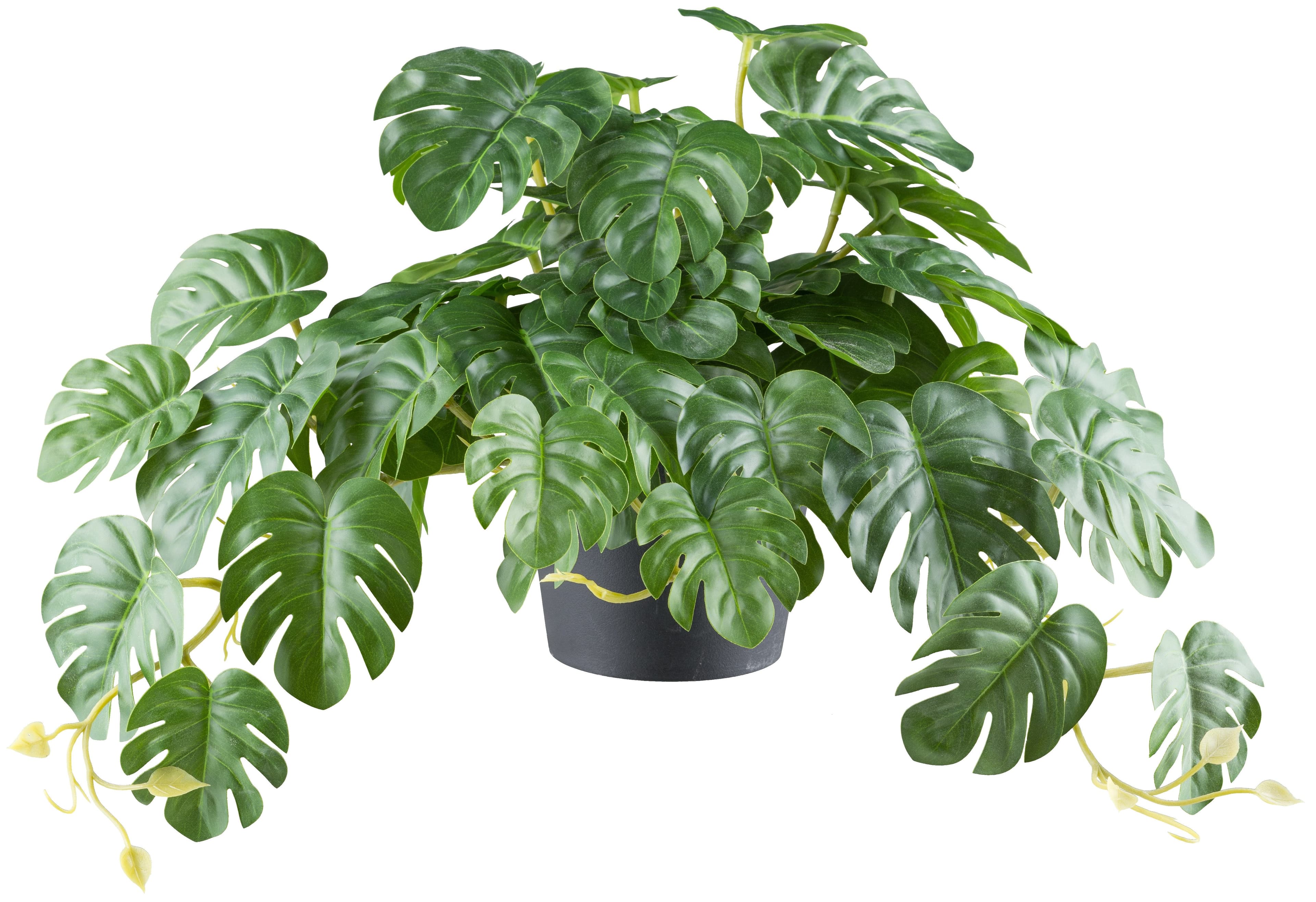 Creativ Green Splitphilodendron Kunstpflanze Grün Schwarz