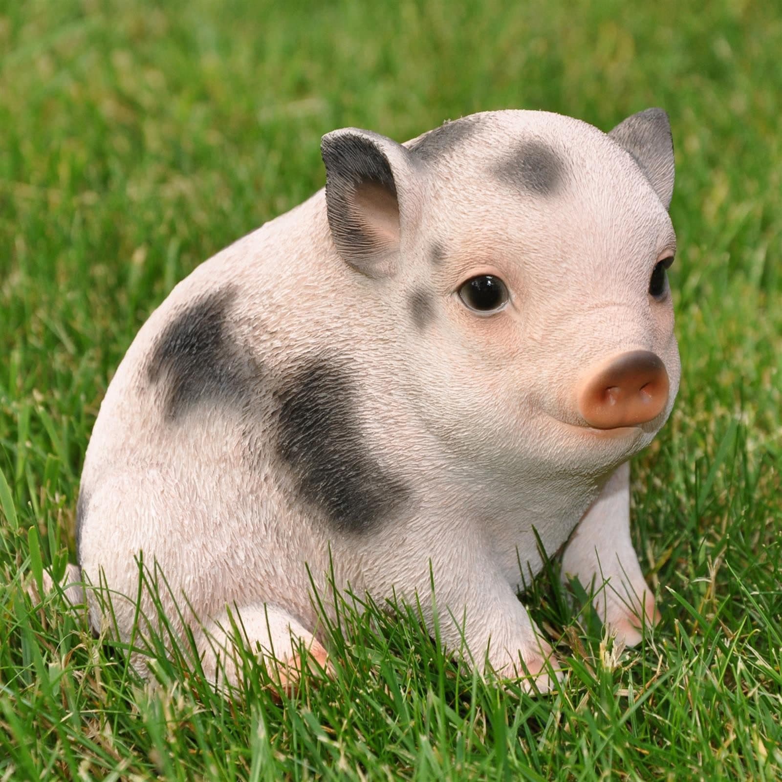 dazikemo Gartenfigur Schwein Dekofigur Kunststein - Bild 2