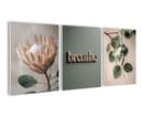 artissimo 3er-Bilder-Set Japandi Wanddeko Protea Eukalyptus Salbei-Grün Beige Bild 2