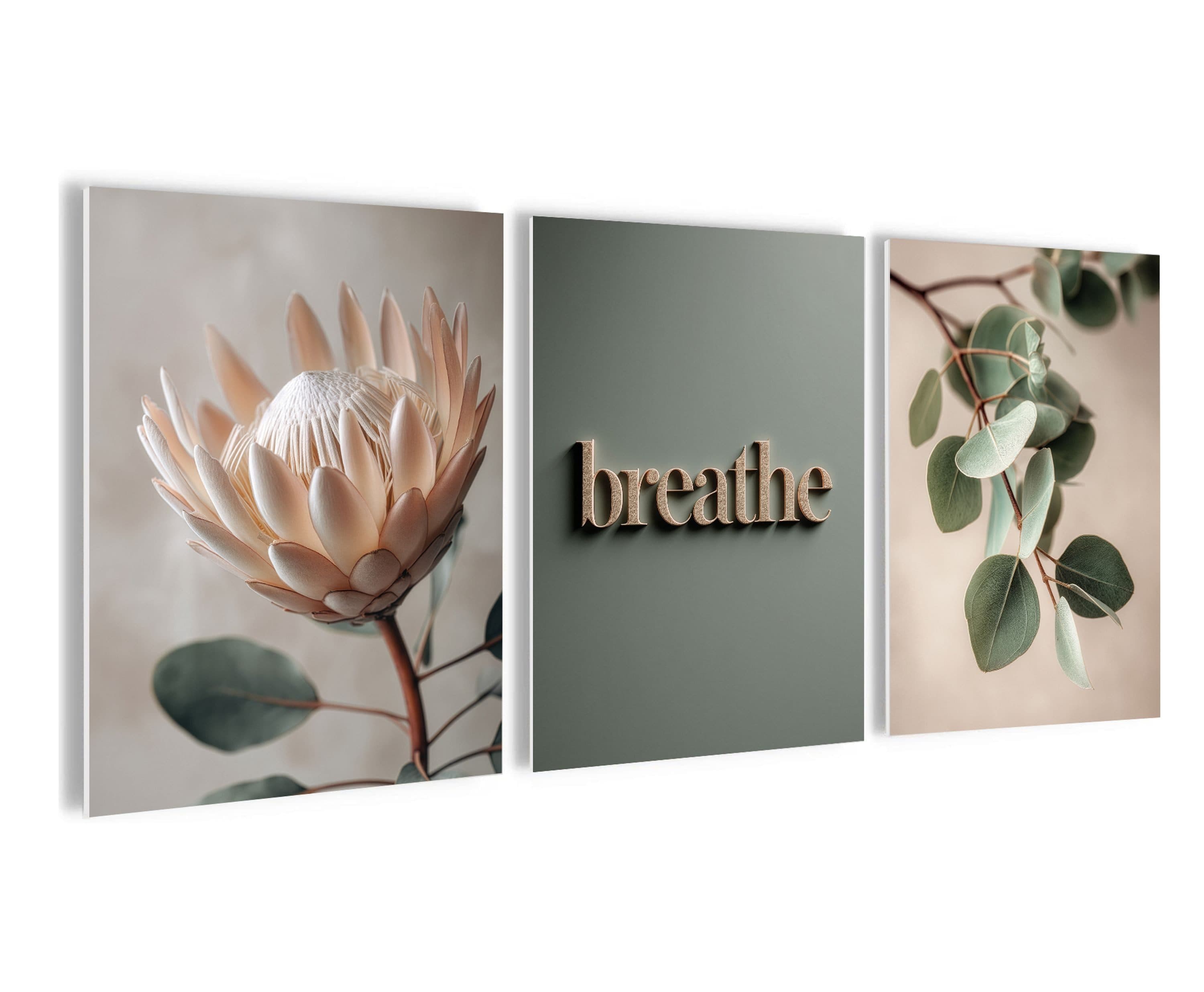 artissimo 3er-Bilder-Set Japandi Wanddeko Protea Eukalyptus Salbei-Grün Beige - Bild 2