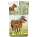 ESPiCO Kinderbettwäsche Pferd Trendy Bedding Renforcé 2-teilig Tiermotiv Pony Bild 2
