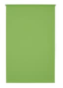 GOOD LIFE Seitenzugrollo Amelie Limone Polyester Bild 2