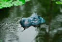 Ubbink Wasserspeier Hippo Schwimmend Polyresin Bild 2