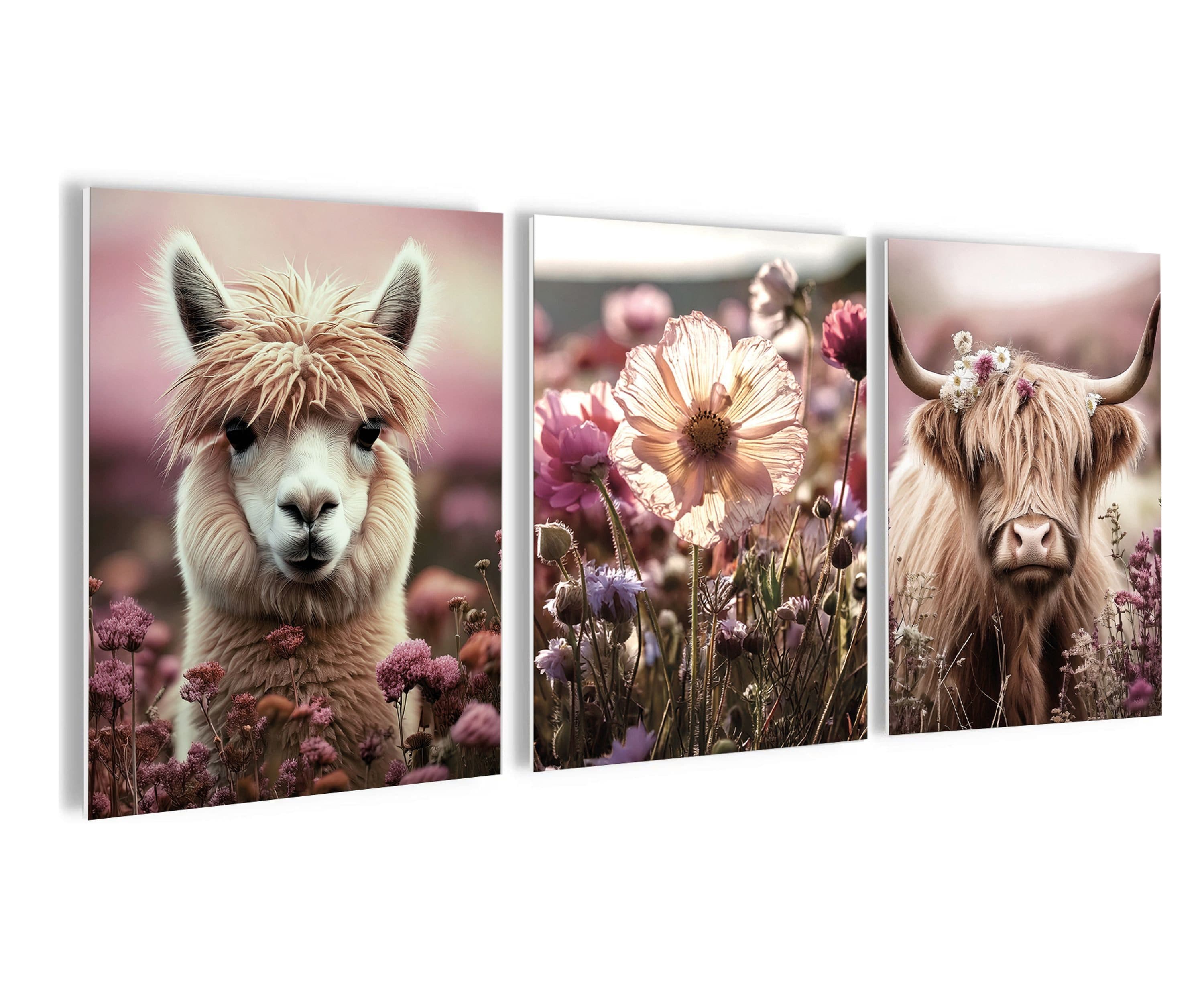 artissimo Mehrteilige Bilder Bilderset 3er-Set Wandbilder-Set Tiere Alpaka und Hochlandrind - Bild 2