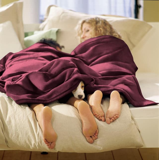 Biederlack Cotton Home Wohndecke Rot - Kuscheldecke im Uni Design