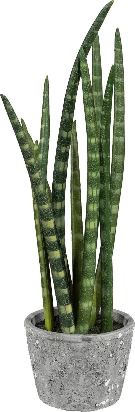 Creativ green Kunstpflanze Sanseveria mit Zementtopf Grün - Bild 2