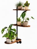 Bamworld 3-stufiges drehbares Wandpflanzenregal Industrie Design Holz Metall Bild 2