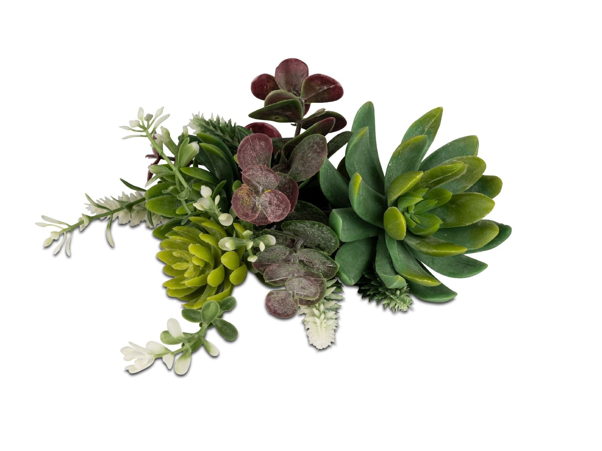 formano Kunstblume Frühlingszeit Grün Sukkulente