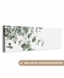 OneMillionCanvasses® Leinwandbild Panorama Eukalyptus Grün Bild 2