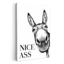 OneMillionCanvasses® Leinwandbild Zitat - Esel - Dieren - Nice ass - Sprüche Bild 2