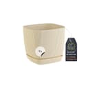 Engelland Blumentopf Beige mit Drainagesystem & Untersetzer Bild 2