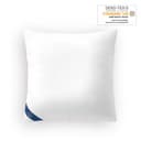 Genius eazzzy Orthopädisches Kopfkissen 80x80 cm mit Milchfaser Bild 2
