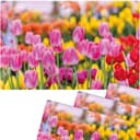 matches21 HOME & HOBBY Platzset 4er Set Sommer Tulpen Blumenwiese Bild 2
