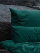 Erlich Textil Kissenbezug COTTON SELECT Grün Flanell Bild 2