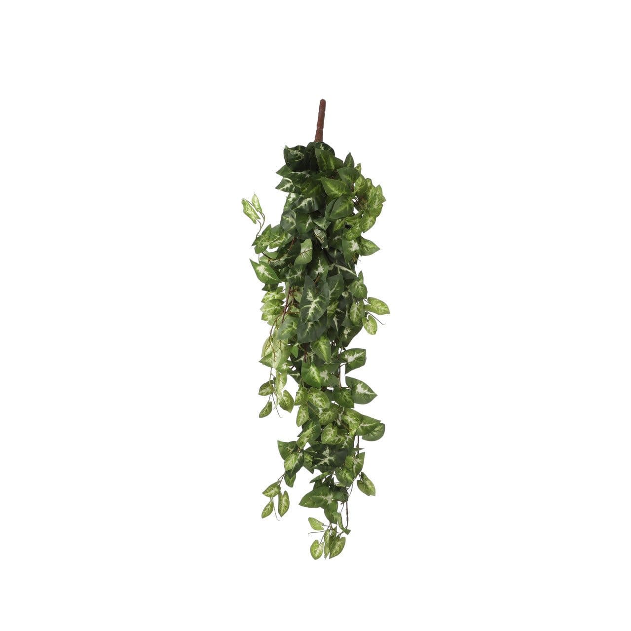 Mica künstliche Fittonia hängend grün, Mica Decorations