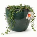 Teramico Blumentopf "Egg Pot" Moosgrün Ø 21 cm Bild 2