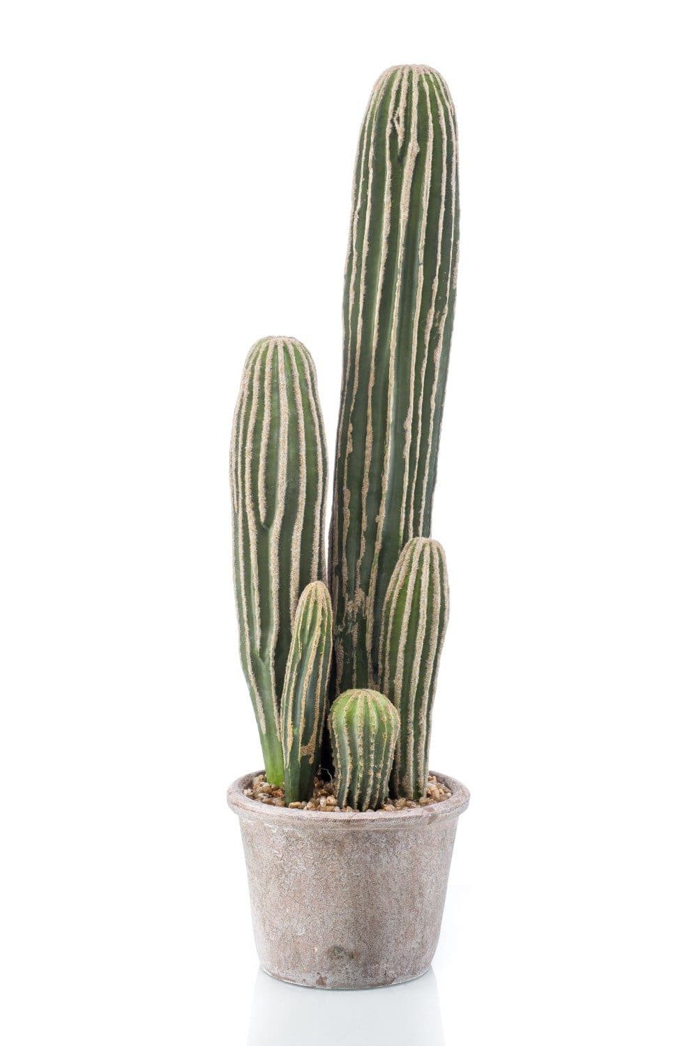 Kunstkaktus San Pedro DACON 55cm artplants