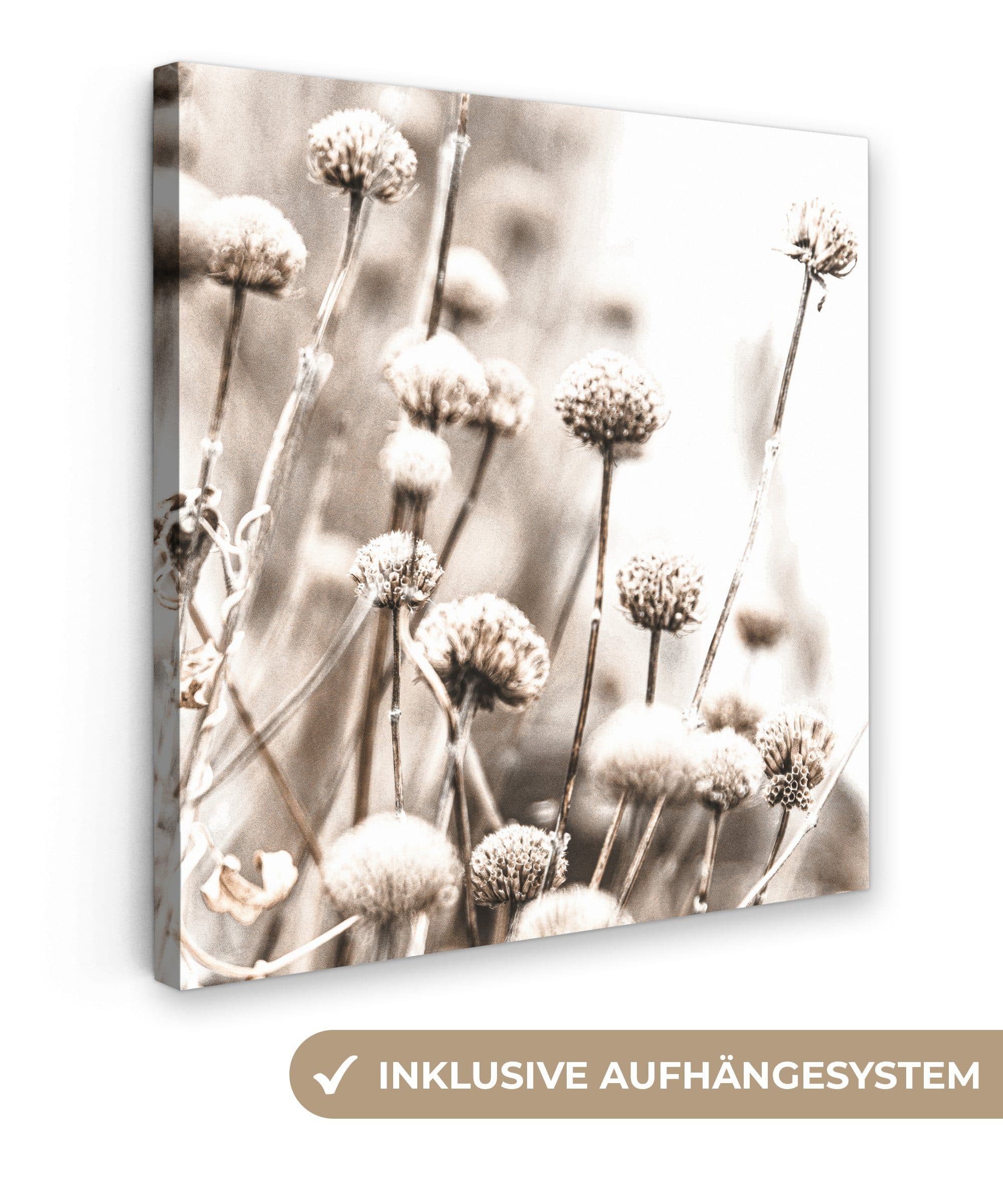 OneMillionCanvasses® Leinwandbild Blumen Natur 20x20 cm Beige/Weiß - Bild 2