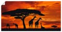Artland Wandbild Giraffen Sonnenuntergang Leinwand Poster Bild 2
