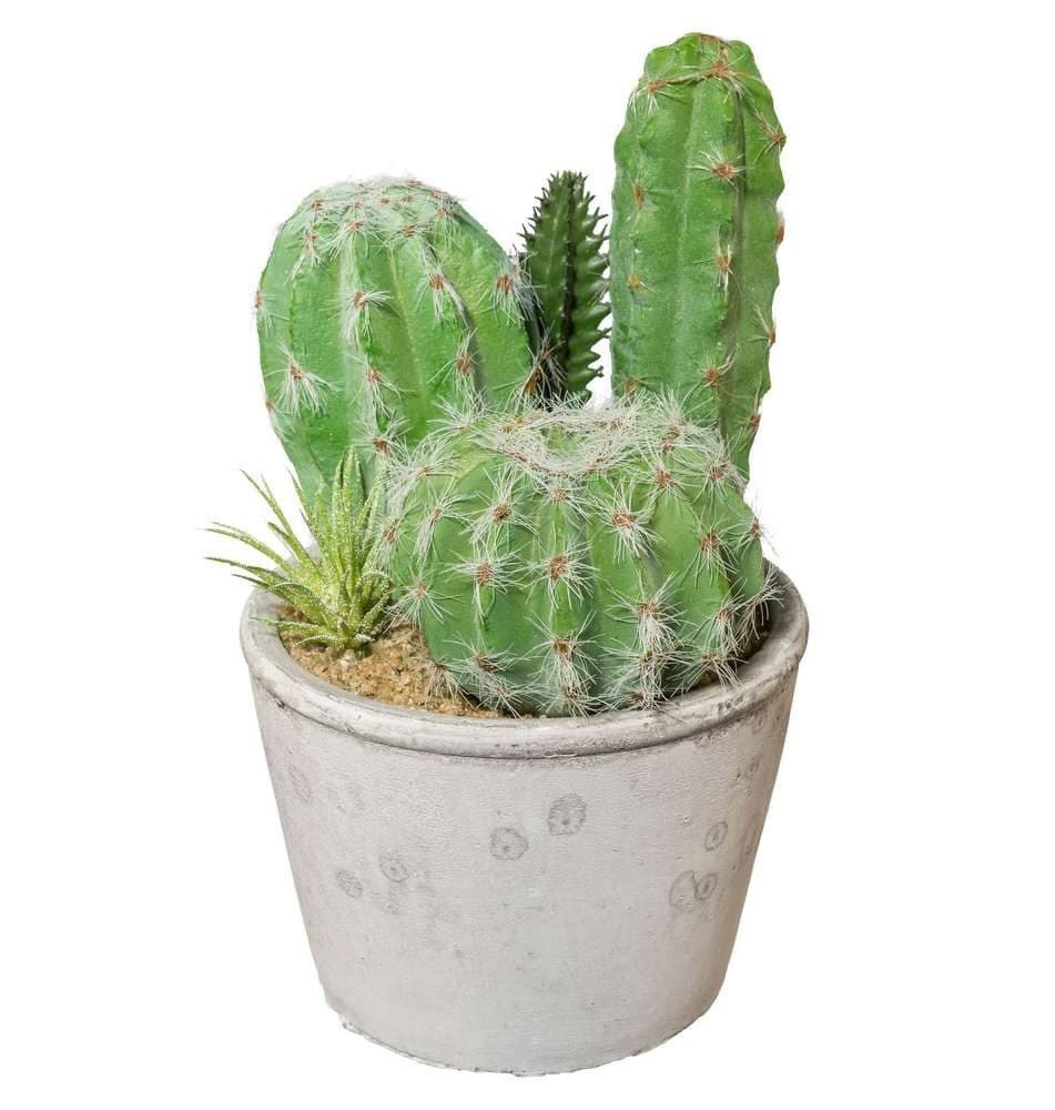 Kunstkaktus Kunstpflanze KAKTEEN im ZEMENTTOPF ca 20cm. Kaktus mix getopft., Gasper