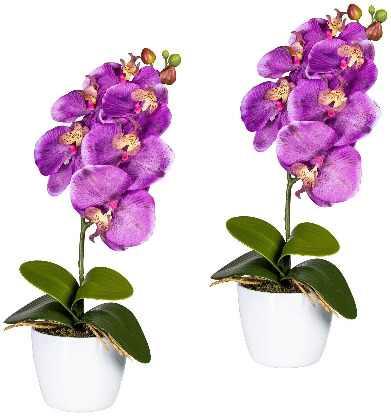 Creativ green Kunstpflanze Orchidee Phalaenopsis Lila Grün Keramiktopf