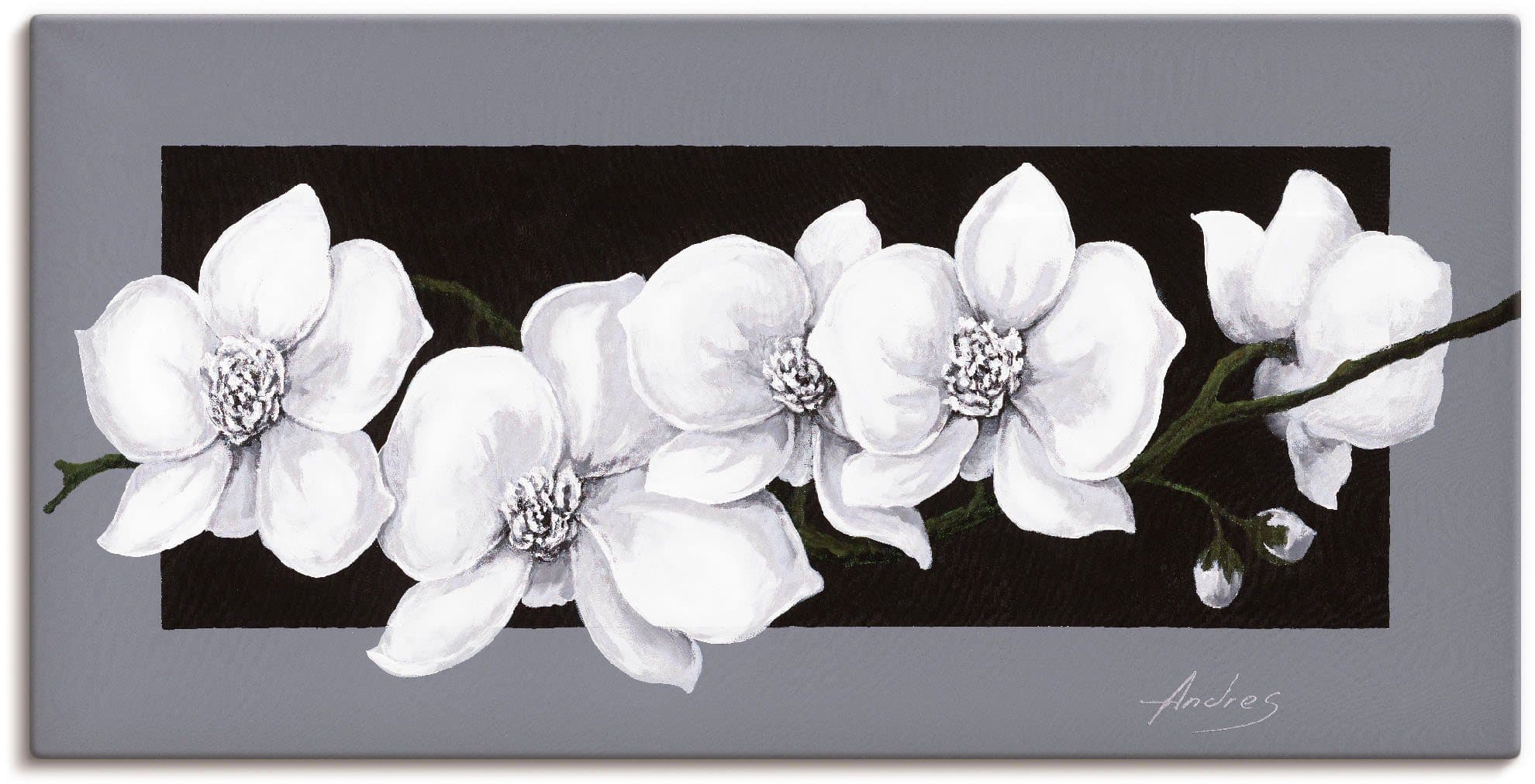 Artland Wandbild Weiße Orchideen auf grau - Alubild, Leinwandbild oder Poster - Bild 2
