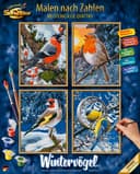 Noris Spiel Schipper Malen nach Zahlen Wintervögel Quattro Set Bild 2