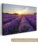 OneMillionCanvasses® Leinwandbild Lavendel Sonnenuntergang Lila Bild 2