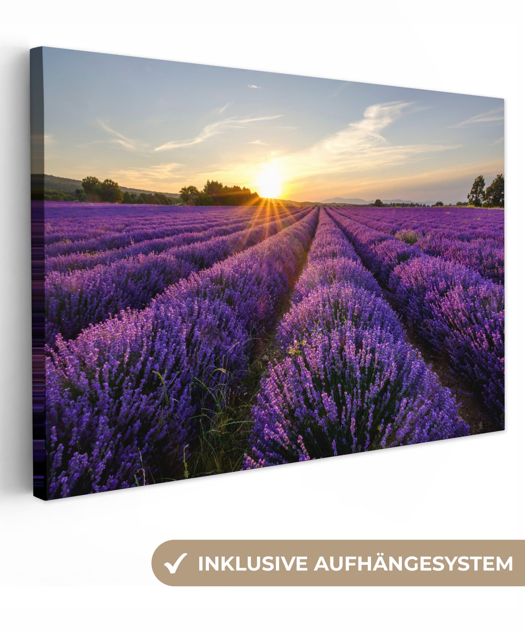 OneMillionCanvasses® Leinwandbild Lavendel Sonnenuntergang Lila - Bild 2
