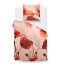 ZO HOME Bettwäsche Renforcé 2-teilig Mohnblumen Rosé Bild 2