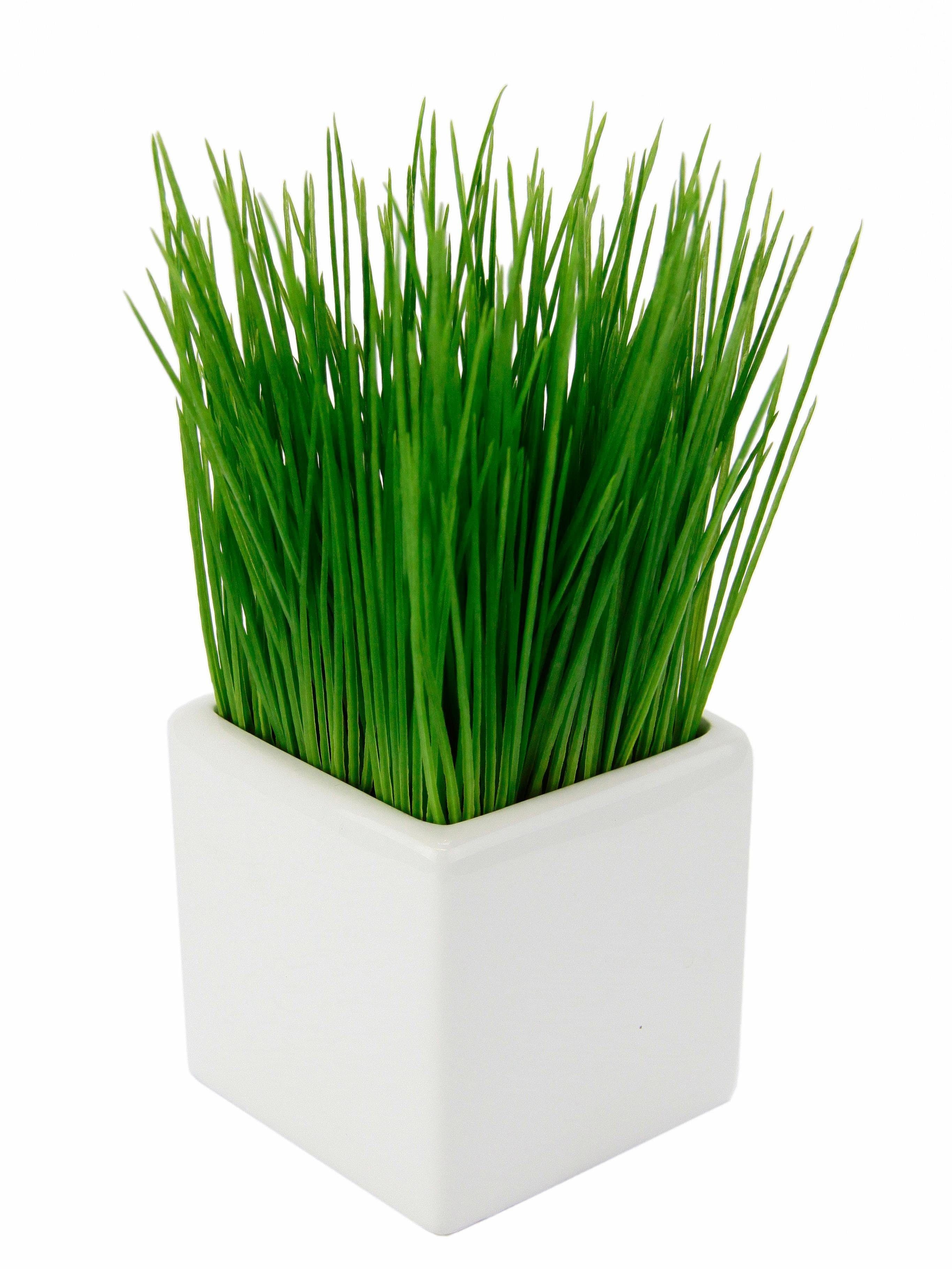 Kunstpflanze Gras I.GE.A. Höhe 22 cm